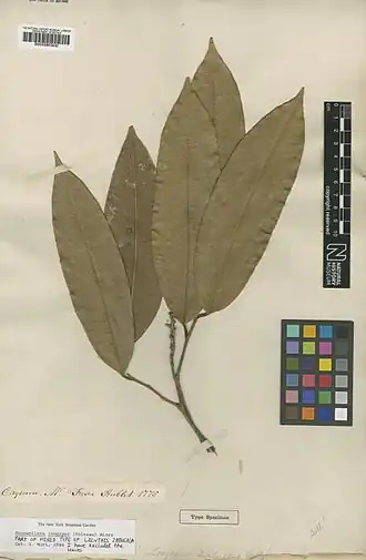 Description de cette image, également commentée ci-après