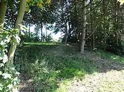 Le terril Pas de la Ville Ouest.