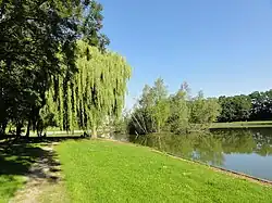 Le terril Pas de la Ville Ouest.