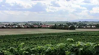 Worms-Leiselheim