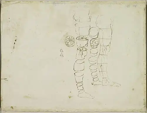 Dessin représentant une jambe tronçonnée.