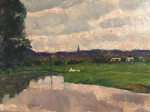 Vaches paissant au bord d'une rivière..