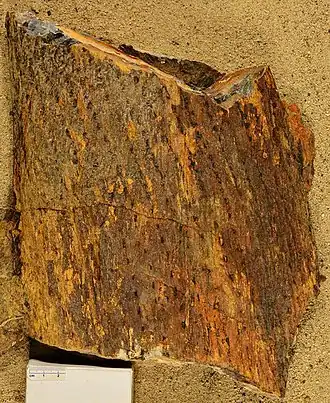 Description de cette image, également commentée ci-après