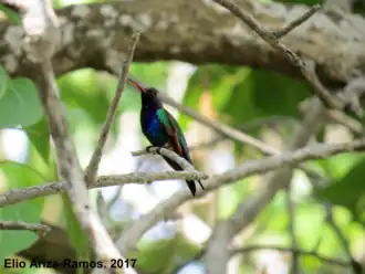Description de cette image, également commentée ci-après