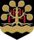 Blason de Leppävirta