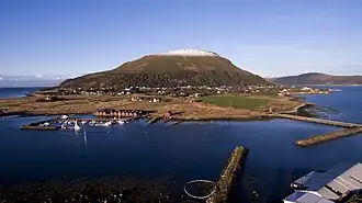 Image illustrative de l’article Lepsøya