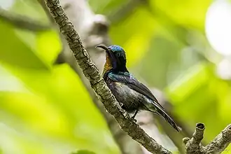 Description de cette image, également commentée ci-après