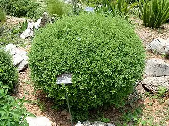 Description de cette image, également commentée ci-après