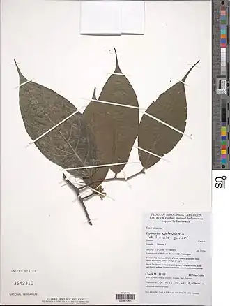 Description de cette image, également commentée ci-après