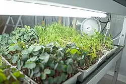 Culture micropousses Les Sourciers