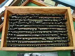 Poinçons des « Grecs du roi » de Claude Garamont d'après les manuscrits d'Ange Vergèce