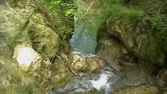 Les 1001 sources du Rayol.