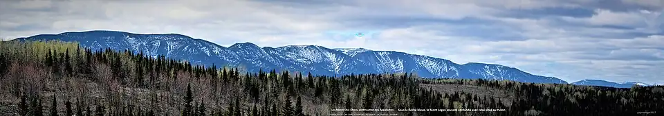 Mont Logan, Gaspésie, Québec