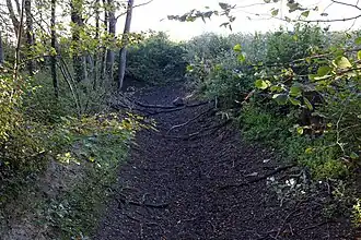 Chemin creux (ancien canal à sec ?).