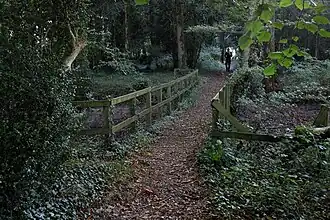 Un sentier pour les randonneurs.