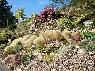 La rocaille des Jardins du Gué à Lhoumois.
