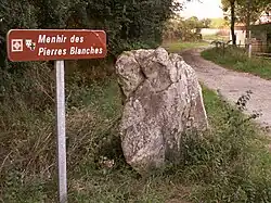 Image illustrative de l’article Menhir des Pierres Blanches
