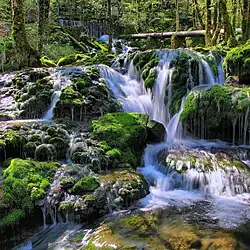 La cascade de la source de la Petite Cuisance.