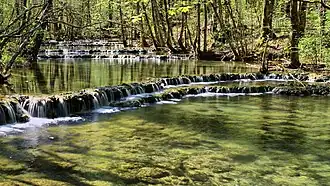 Nassis formant des gours sur la Petite Cuisance.