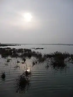 Les prés salés sous une mer à 100 de coefficient.