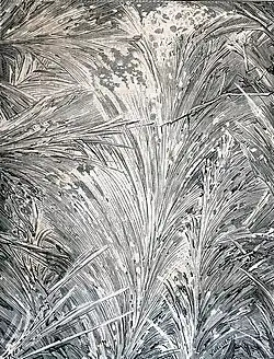 Givre sur un carreau de vitre.