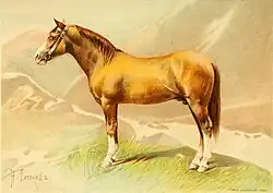 Dessin d'un cheval roux-doré dans un paysage de montagne.