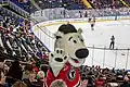 Champion, la Mascotte présente durant les parties des Remparts de Québec au Colisée Pepsi et au Centre Vidéotron