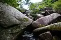 Rochers des gorges du Corong 2.