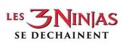 Description de l'image Les trois ninjas se déchainent.jpg.