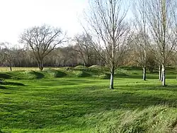  Photographie de dunes artificielles recouvertes de pelouses, des arbres.