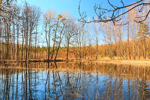 Étang dans la forêt à Štika.