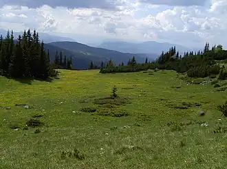 Image illustrative de l’article Ljubišnja