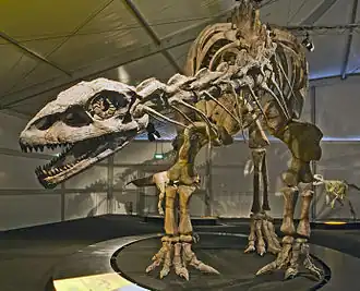 Description de cette image, également commentée ci-après