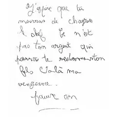 Lettre anonyme postée le jour du crime entre 17 h et 17 h 15, reçue le lendemain par les parents de la victime et par laquelle un « corbeau » revendique le crime : J'espère que tu mourras de chagrin le chef Ce n'est pas ton argent qui pourra te redonner ton fils Voilà ma vengeance. pauvre con