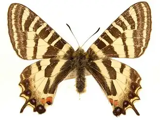 Description de cette image, également commentée ci-après