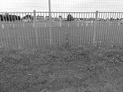 La borne dans son environnement.