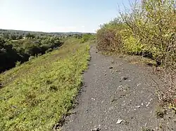 Le terril no&nbsp;80.