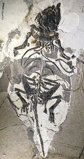 Description de cette image, également commentée ci-après