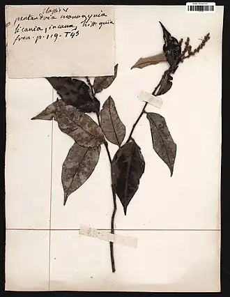 Description de cette image, également commentée ci-après