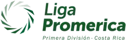 Description de l'image Liga Promerica.svg.png.