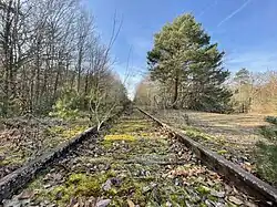 La voie, vue en direction de Malesherbes, peu après la gare de Bourron-Marlotte - Grez.