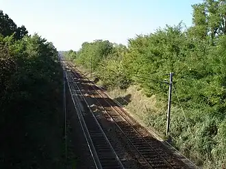 Voir l'illustration.