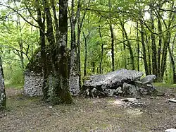 Le dolmen de Peyrelevade.