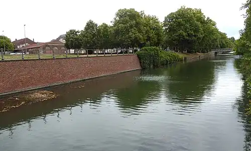 Limite entre le parcours de 1881 (rive en briques à gauche), et canal de 1751 (rive sous la végétation)