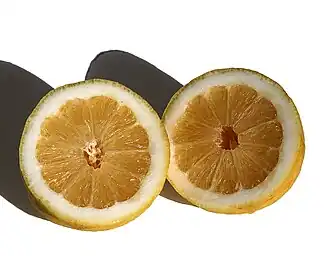 Image illustrative de l’article Limone di Procida