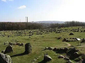 Image illustrative de l’article Lindholm Høje