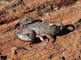 Description de cette image, également commentée ci-après