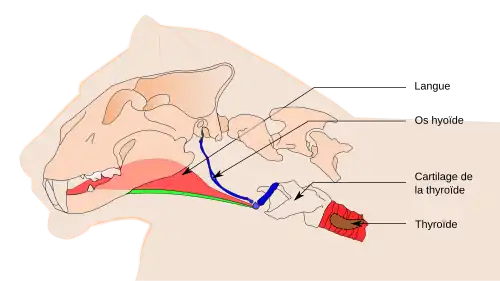 voir la légende ci-après