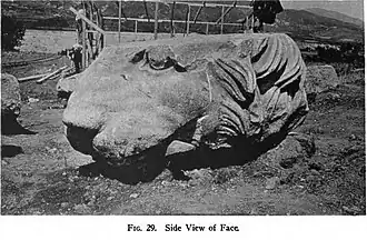 Partie de la tête du lion, avant restauration.