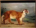La Lionne, Eugène Delacroix